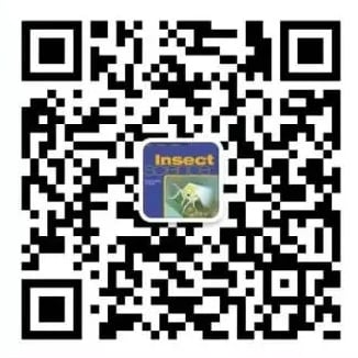 Insect Science WeChat QR Code